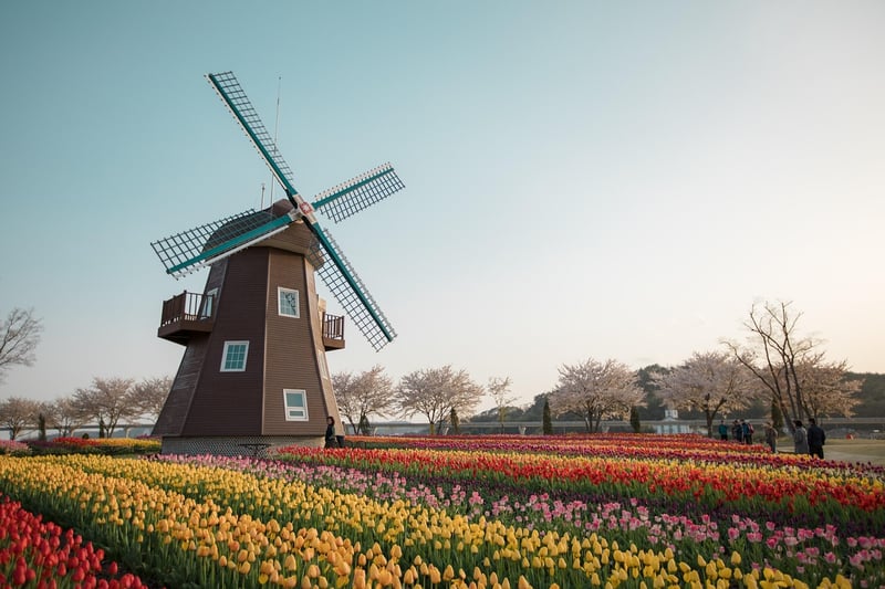Netherlands Map